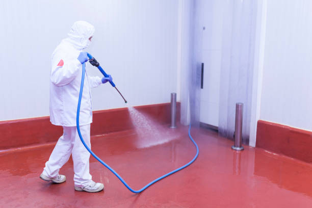 Best Concrete Sealing  in Loudonville, NY